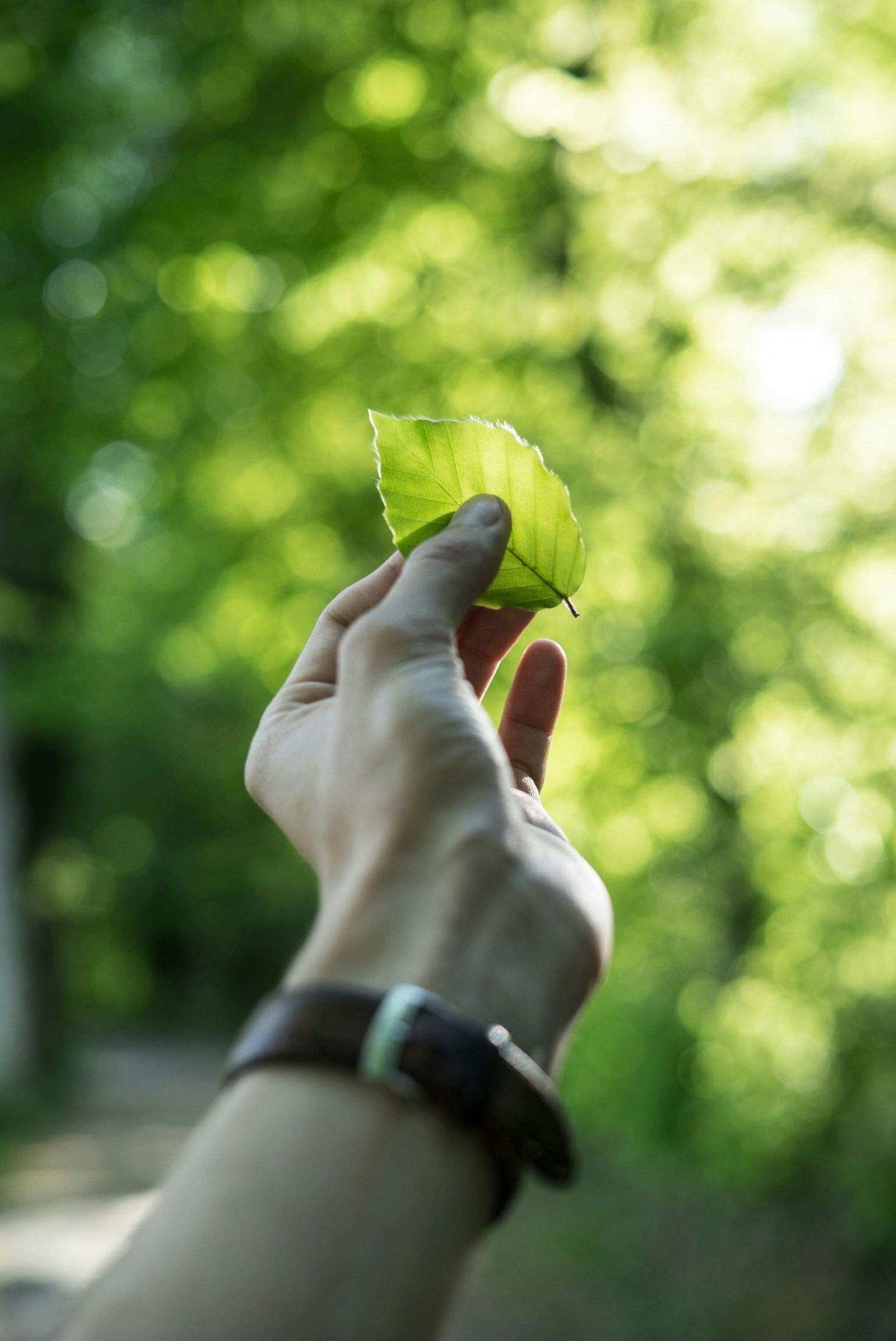O papel dos dados na gestão ambiental